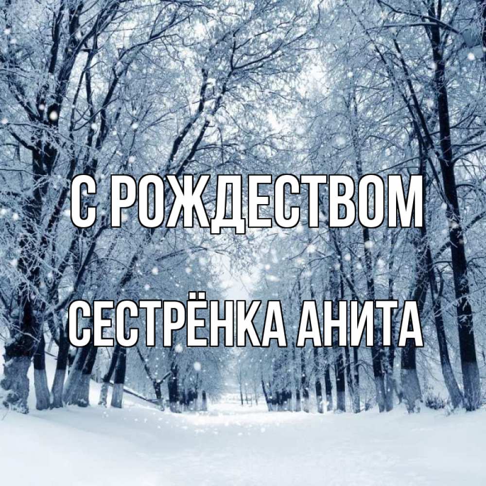 Открытка на каждый день с именем, Сестрёнка-Анита С рождеством снег, лес, парк Прикольная открытка с пожеланием онлайн скачать бесплатно 
