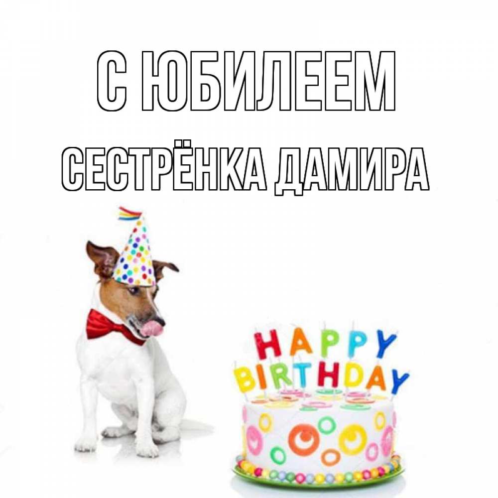Открытка на каждый день с именем, Сестрёнка-Дамира С юбилеем праздник Прикольная открытка с пожеланием онлайн скачать бесплатно 
