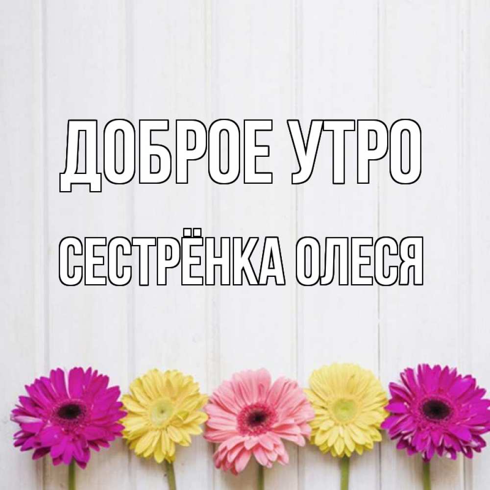 Открытка на каждый день с именем, Сестрёнка-Олеся Доброе утро красный желтый и розовый цветок Прикольная открытка с пожеланием онлайн скачать бесплатно 