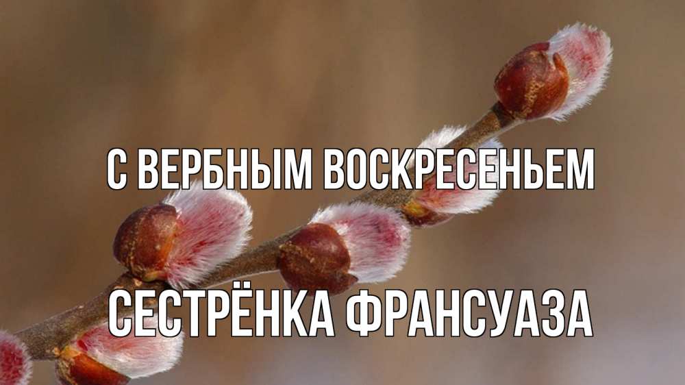 Открытка на каждый день с именем, Сестрёнка-Франсуаза С вербным воскресеньем верба Прикольная открытка с пожеланием онлайн скачать бесплатно 