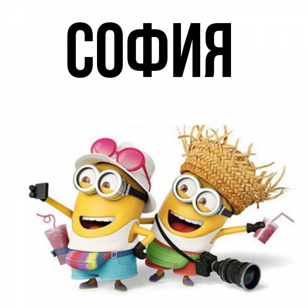 Открытка на каждый день с именем, София Главная карнавал Прикольная открытка с пожеланием онлайн скачать бесплатно 