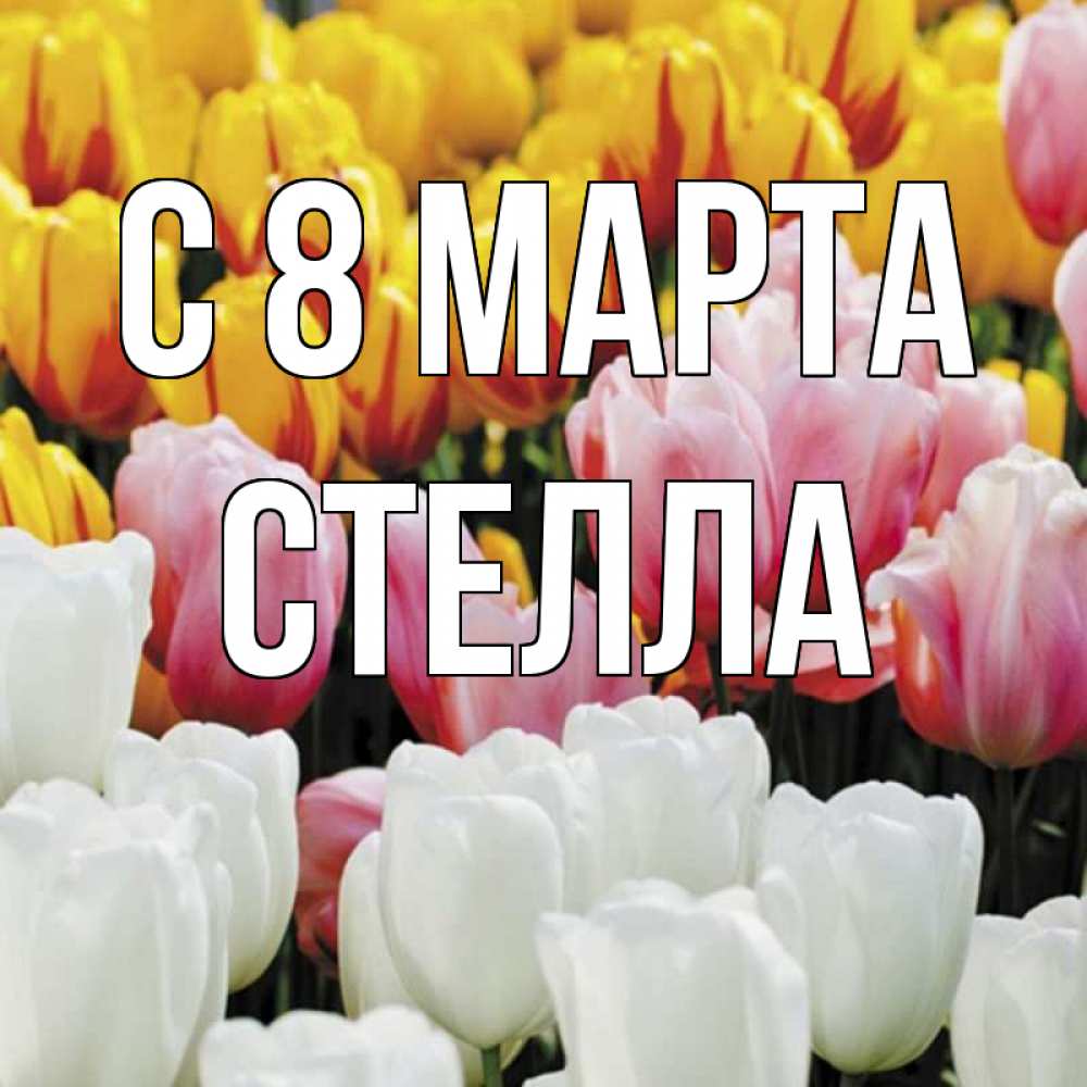 Открытка на каждый день с именем, Стелла С 8 марта разноцветные цветы Прикольная открытка с пожеланием онлайн скачать бесплатно 