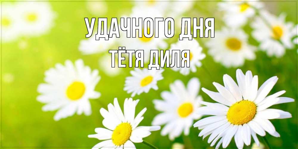 Открытка на каждый день с именем, Тётя-Диля Удачного дня открытка с ромашками на зеленом фоне Прикольная открытка с пожеланием онлайн скачать бесплатно 