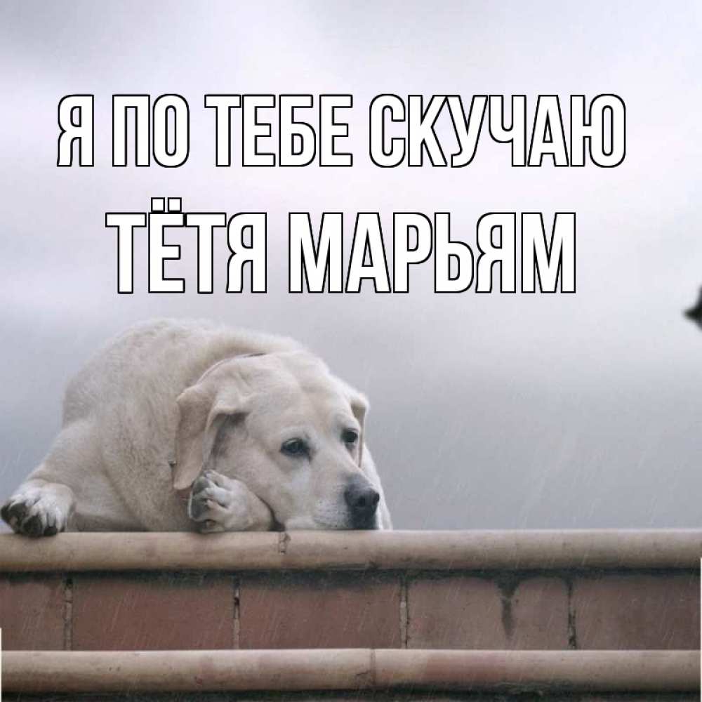 Открытка на каждый день с именем, Тётя-Марьям Я по тебе скучаю ждет Прикольная открытка с пожеланием онлайн скачать бесплатно 