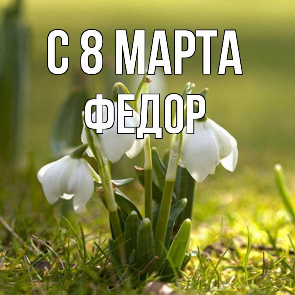 Открытка на каждый день с именем, Федор С 8 марта ранние цветы 2 Прикольная открытка с пожеланием онлайн скачать бесплатно 