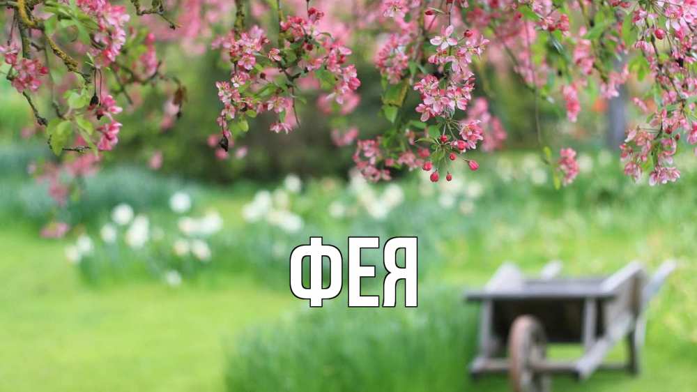 Открытка на каждый день с именем, Фея Главная С 1 мая Прикольная открытка с пожеланием онлайн скачать бесплатно 
