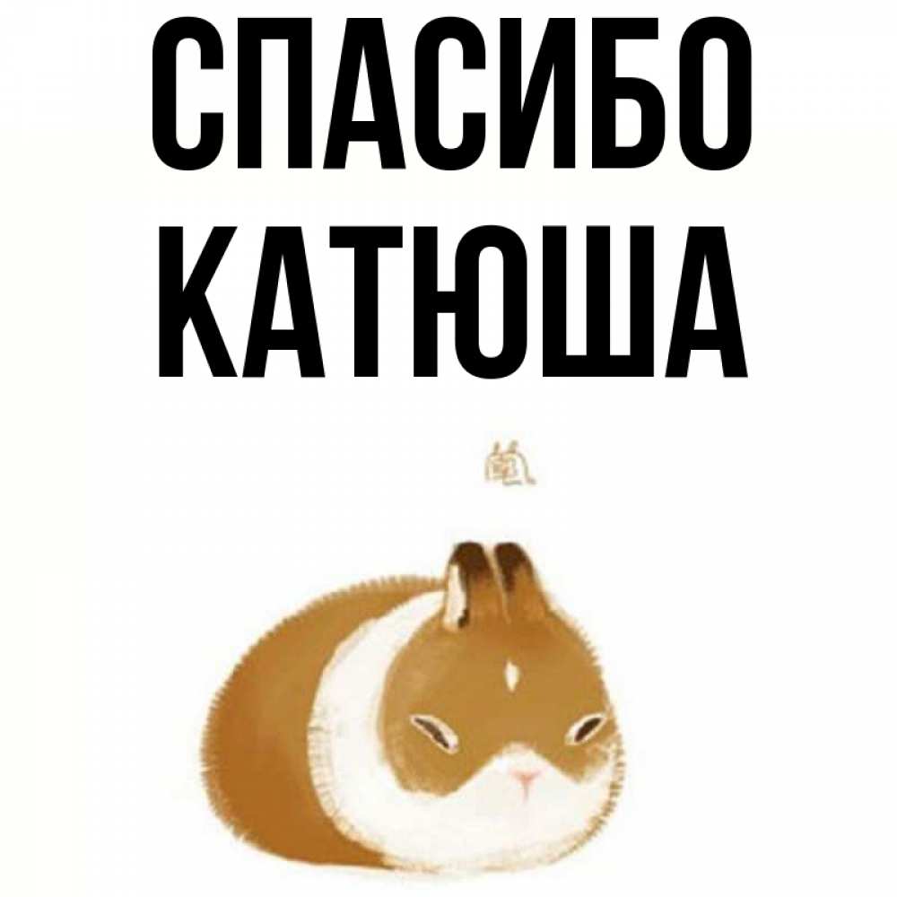 Открытка на каждый день с именем, катюша Спасибо коричнево белый домашний питомец Прикольная открытка с пожеланием онлайн скачать бесплатно 
