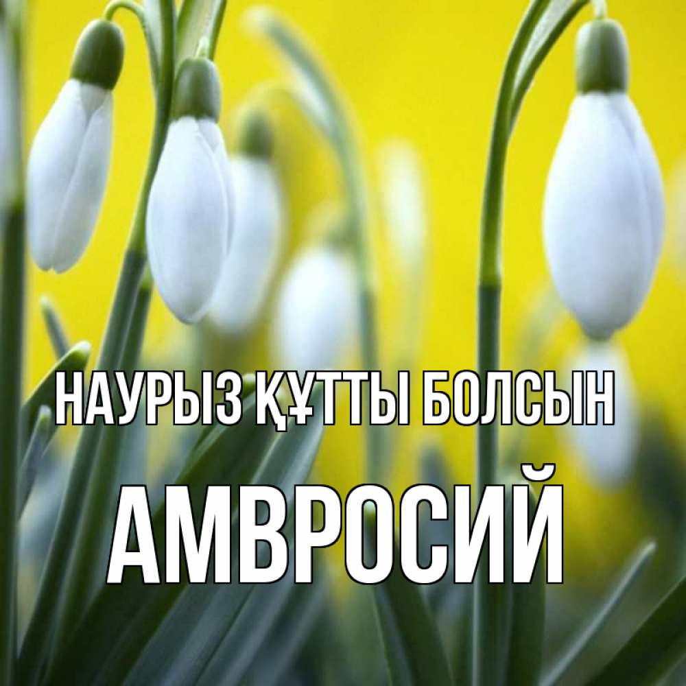 Открытка на каждый день с именем, Амвросий Наурыз құтты болсын весенние цветы Прикольная открытка с пожеланием онлайн скачать бесплатно 