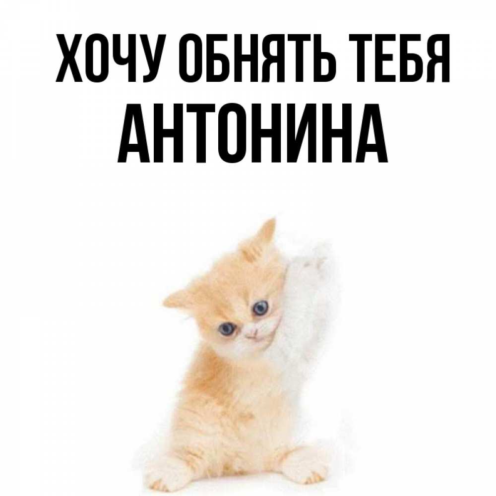 Открытка на каждый день с именем, Антонина Хочу обнять тебя я хочу очень скорее обнимаешек Прикольная открытка с пожеланием онлайн скачать бесплатно 