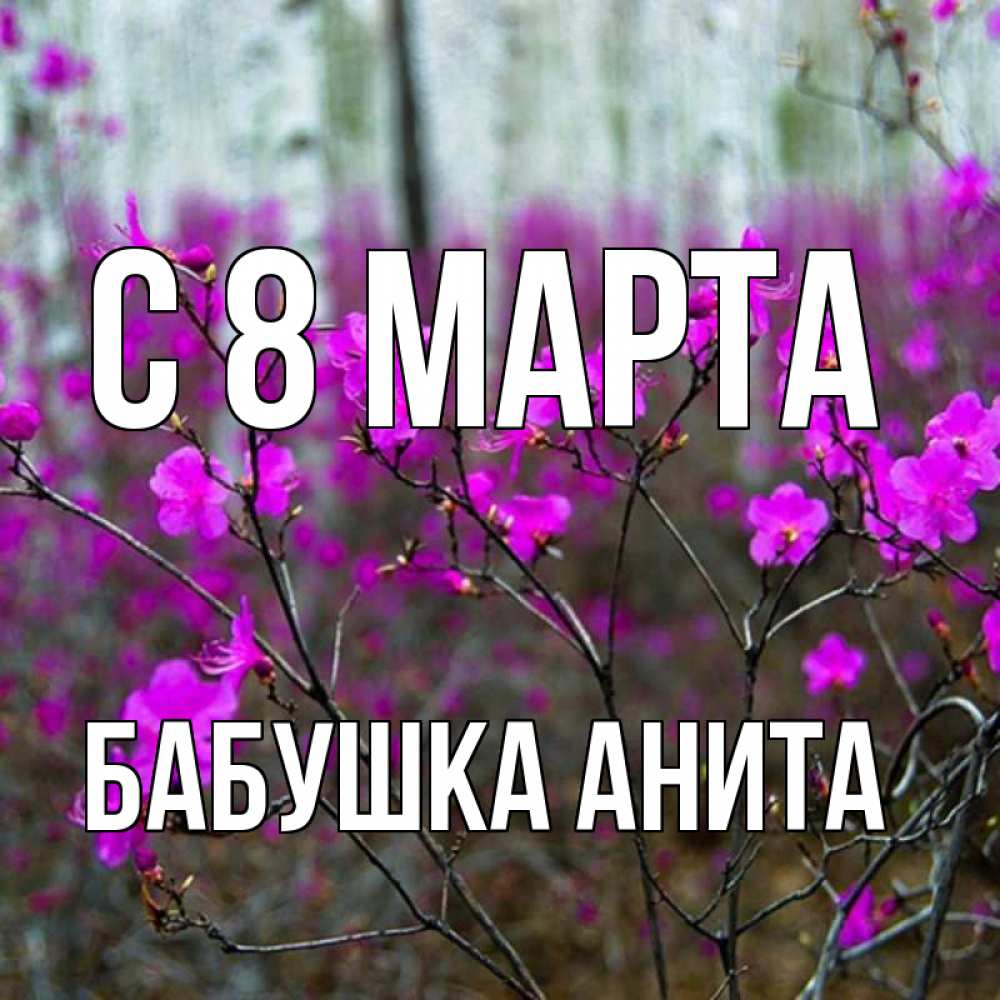 Открытка на каждый день с именем, Бабушка-Анита С 8 МАРТА дикие цветы Прикольная открытка с пожеланием онлайн скачать бесплатно 