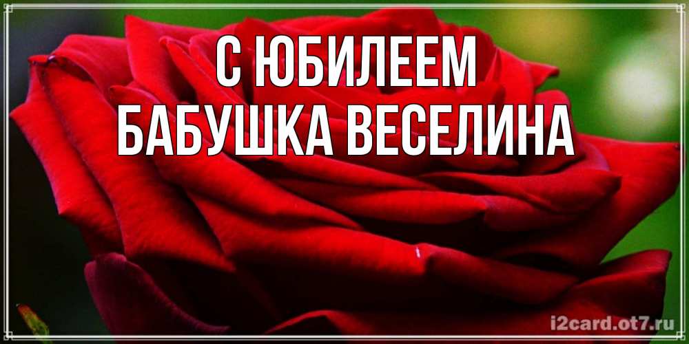 Открытка на каждый день с именем, Бабушка-Веселина С юбилеем розочка очень красивая Прикольная открытка с пожеланием онлайн скачать бесплатно 