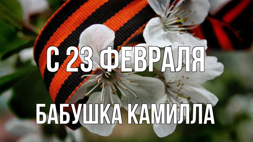 Открытка на каждый день с именем, Бабушка-Камилла С 23 февраля 23 февраля Прикольная открытка с пожеланием онлайн скачать бесплатно 