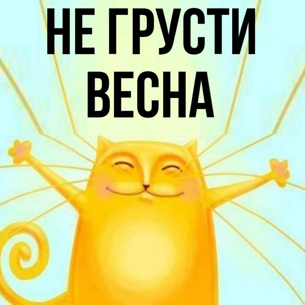 Открытка на каждый день с именем, Весна Не грусти обнимашки усатые Прикольная открытка с пожеланием онлайн скачать бесплатно 