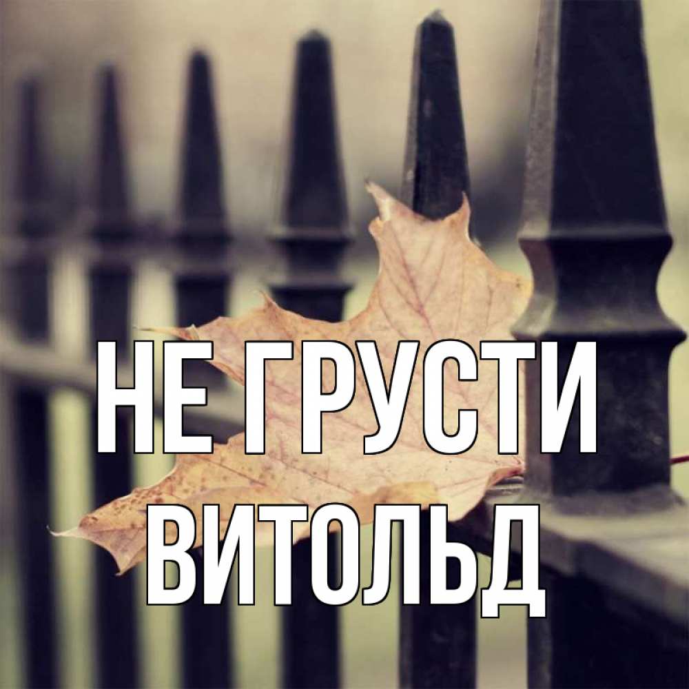 Открытка на каждый день с именем, Витольд Не грусти лист клена Прикольная открытка с пожеланием онлайн скачать бесплатно 