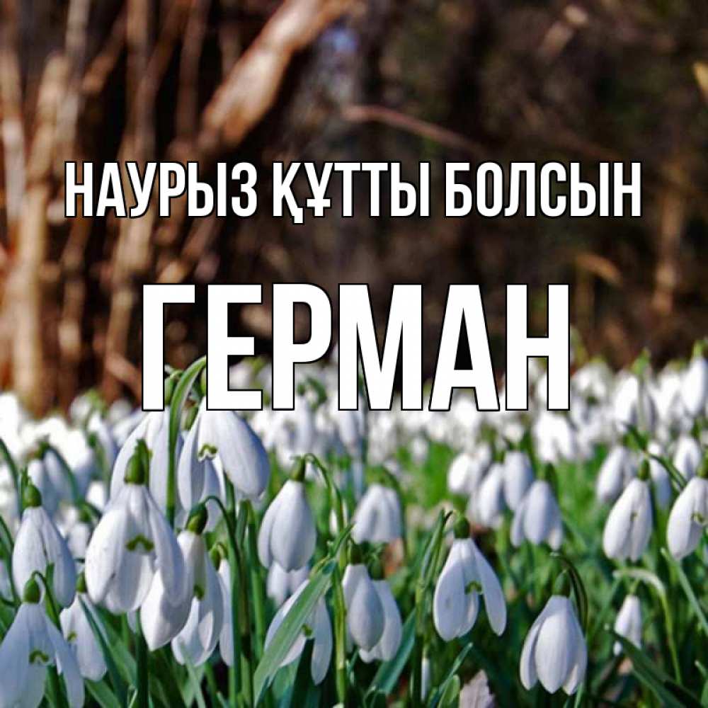 Открытка на каждый день с именем, Герман Наурыз құтты болсын с подснежниками 1 Прикольная открытка с пожеланием онлайн скачать бесплатно 