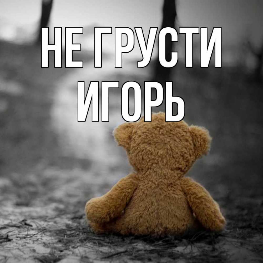 Открытка на каждый день с именем, Игорь Не грусти медведь со спин Прикольная открытка с пожеланием онлайн скачать бесплатно 