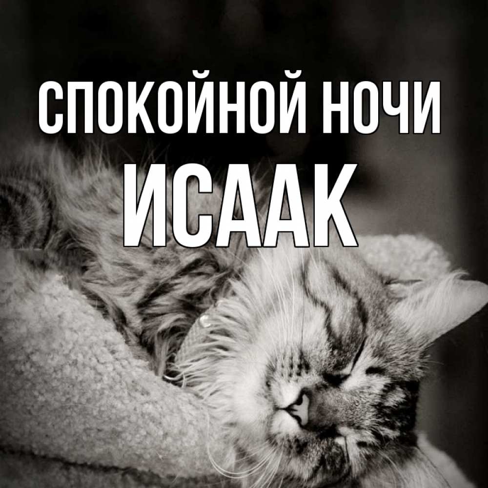 Открытка на каждый день с именем, Исаак Спокойной ночи котярик пушистый Прикольная открытка с пожеланием онлайн скачать бесплатно 