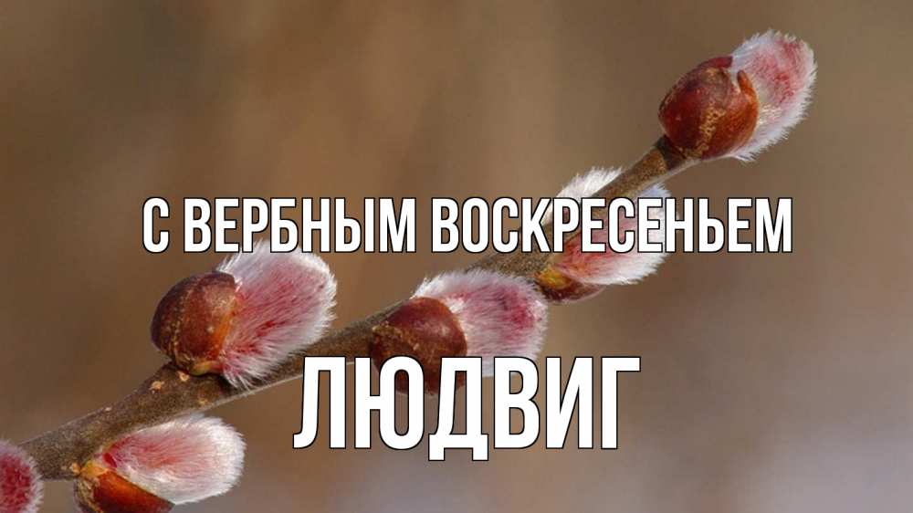 Открытка на каждый день с именем, Людвиг С вербным воскресеньем верба Прикольная открытка с пожеланием онлайн скачать бесплатно 