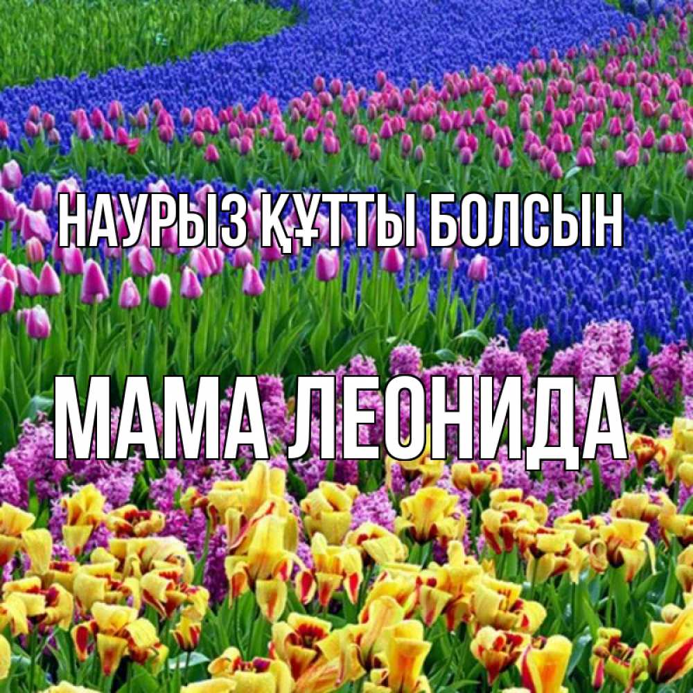 Открытка на каждый день с именем, Мама-Леонида Наурыз құтты болсын цветы Прикольная открытка с пожеланием онлайн скачать бесплатно 