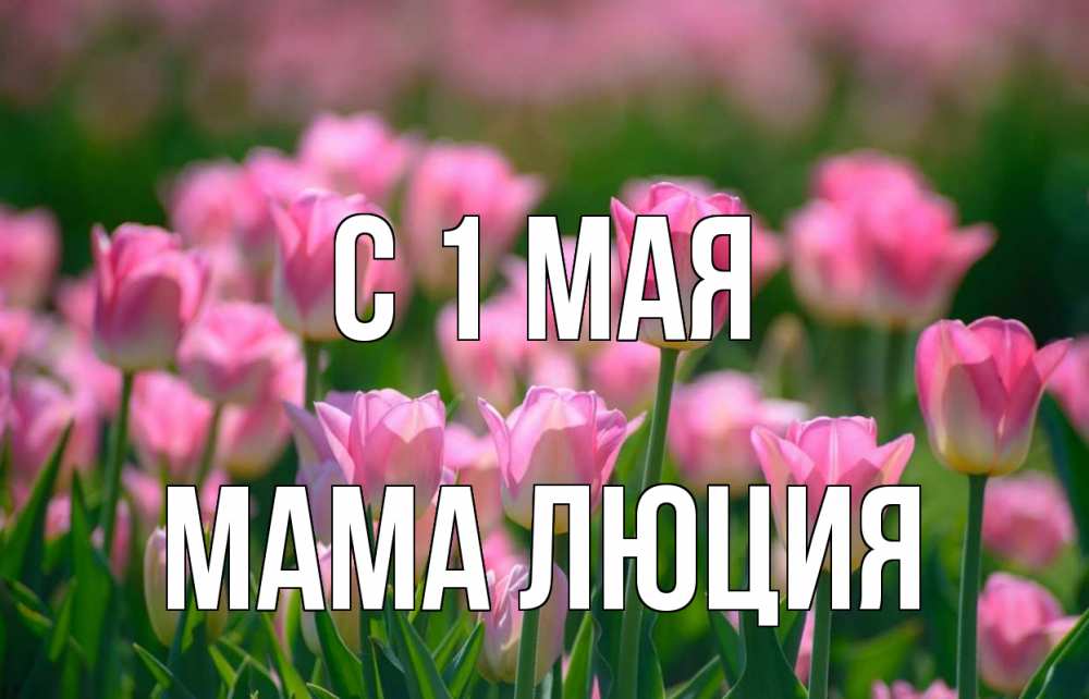 Открытка на каждый день с именем, Мама-Люция С 1 мая С 1 мая Прикольная открытка с пожеланием онлайн скачать бесплатно 