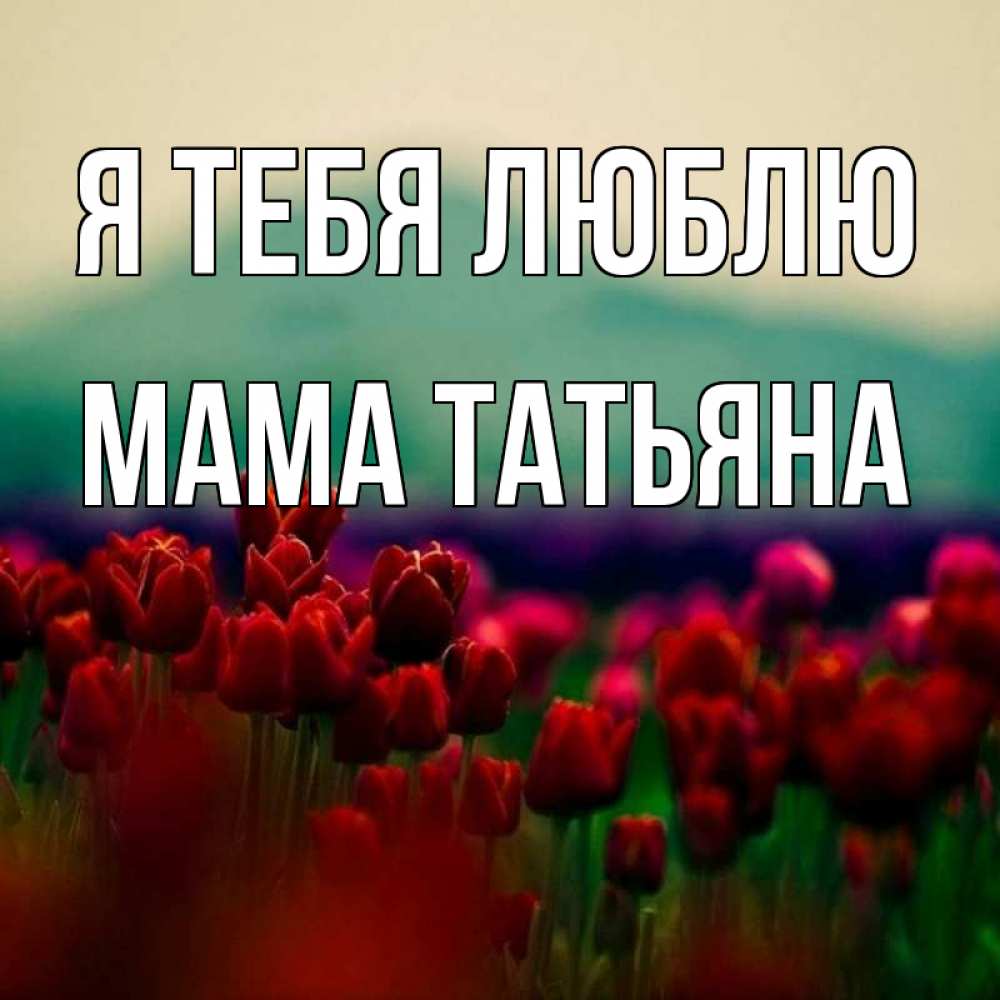 Открытка на каждый день с именем, Мама-Татьяна Я тебя люблю тюльпаны 4 Прикольная открытка с пожеланием онлайн скачать бесплатно 
