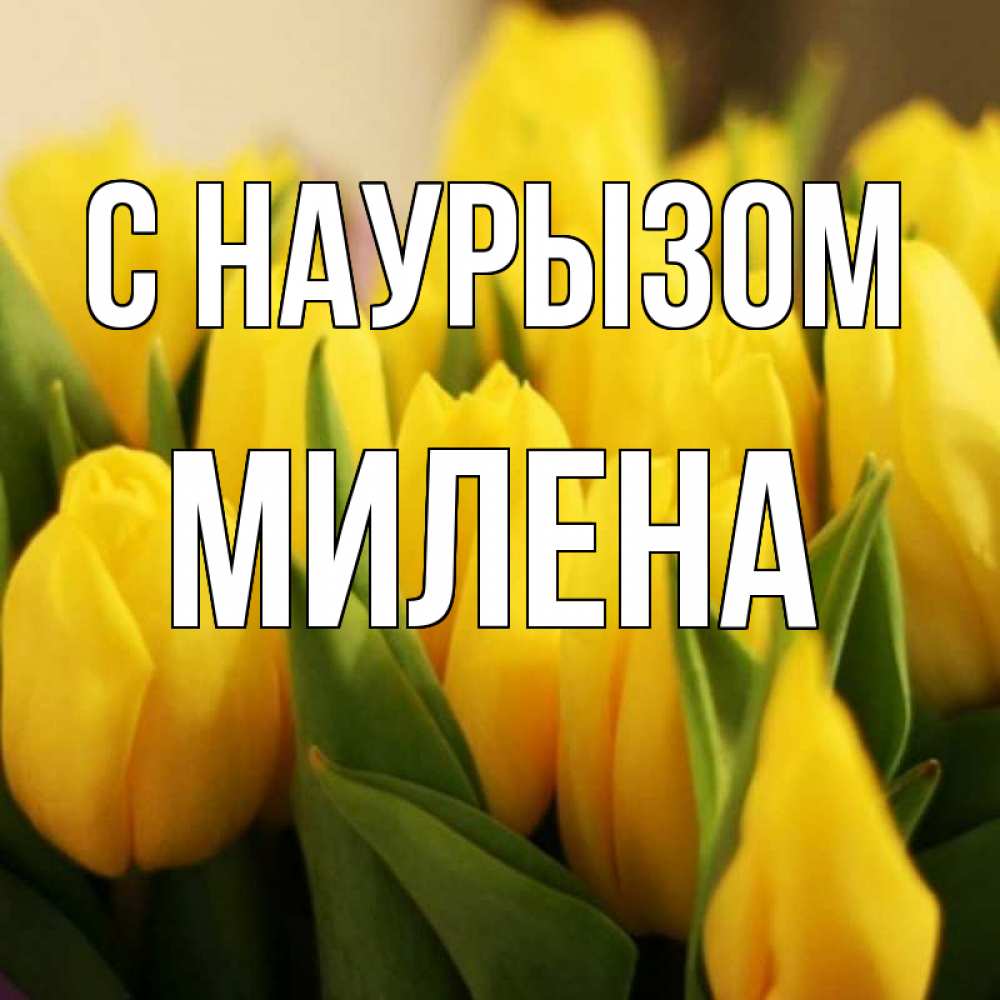 Открытка на каждый день с именем, Милена С наурызом цветы Прикольная открытка с пожеланием онлайн скачать бесплатно 
