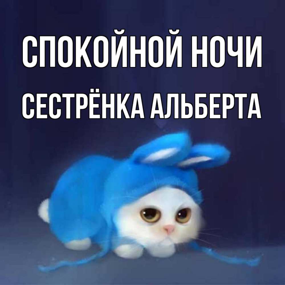 Открытка на каждый день с именем, Сестрёнка-Альберта Спокойной ночи кот в голубом костюме кролика с ушками Прикольная открытка с пожеланием онлайн скачать бесплатно 