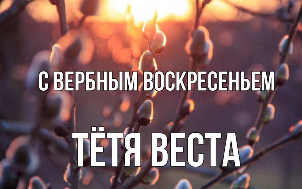 Открытка на каждый день с именем, Тётя-Веста С вербным воскресеньем верба Прикольная открытка с пожеланием онлайн скачать бесплатно 