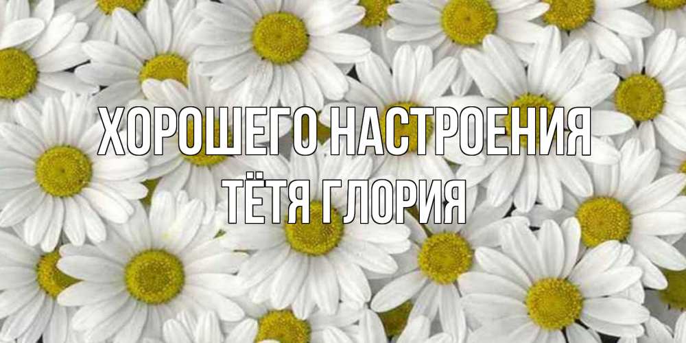 Открытка на каждый день с именем, Тётя-Глория Хорошего настроения поляна ромашек Прикольная открытка с пожеланием онлайн скачать бесплатно 