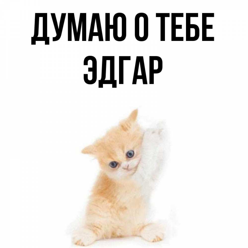 Открытка на каждый день с именем, Эдгар Думаю о тебе зверушки и милота Прикольная открытка с пожеланием онлайн скачать бесплатно 