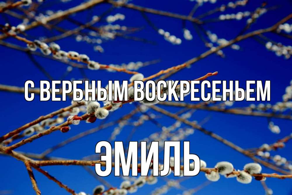 Открытка на каждый день с именем, Эмиль С вербным воскресеньем верба Прикольная открытка с пожеланием онлайн скачать бесплатно 