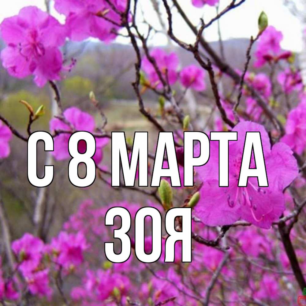 Открытка на каждый день с именем, зоя С 8 марта международный женский день Прикольная открытка с пожеланием онлайн скачать бесплатно 