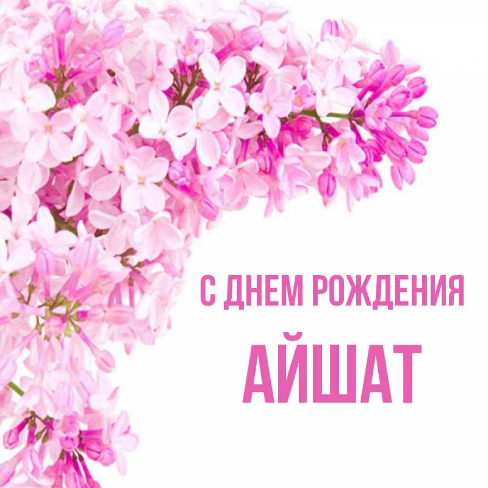 Открытка на каждый день с именем, АЙШАТ С днем рождения Сирень на белом фоне Прикольная открытка с пожеланием онлайн скачать бесплатно 