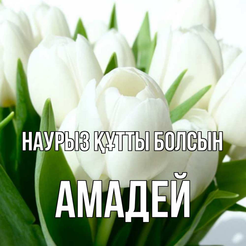 Открытка на каждый день с именем, Амадей Наурыз құтты болсын цветы Прикольная открытка с пожеланием онлайн скачать бесплатно 