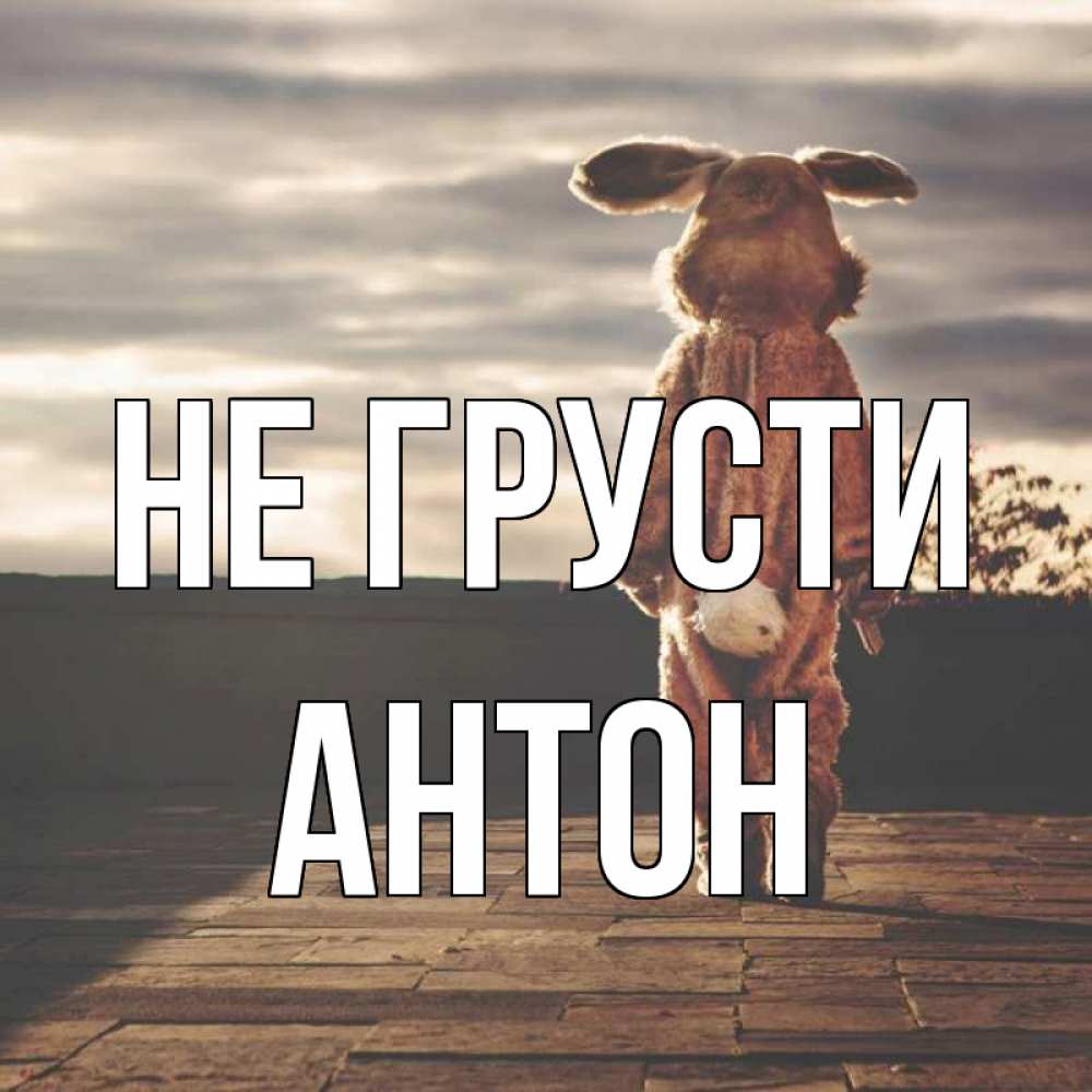 Открытка на каждый день с именем, Антон Не грусти со спины Прикольная открытка с пожеланием онлайн скачать бесплатно 