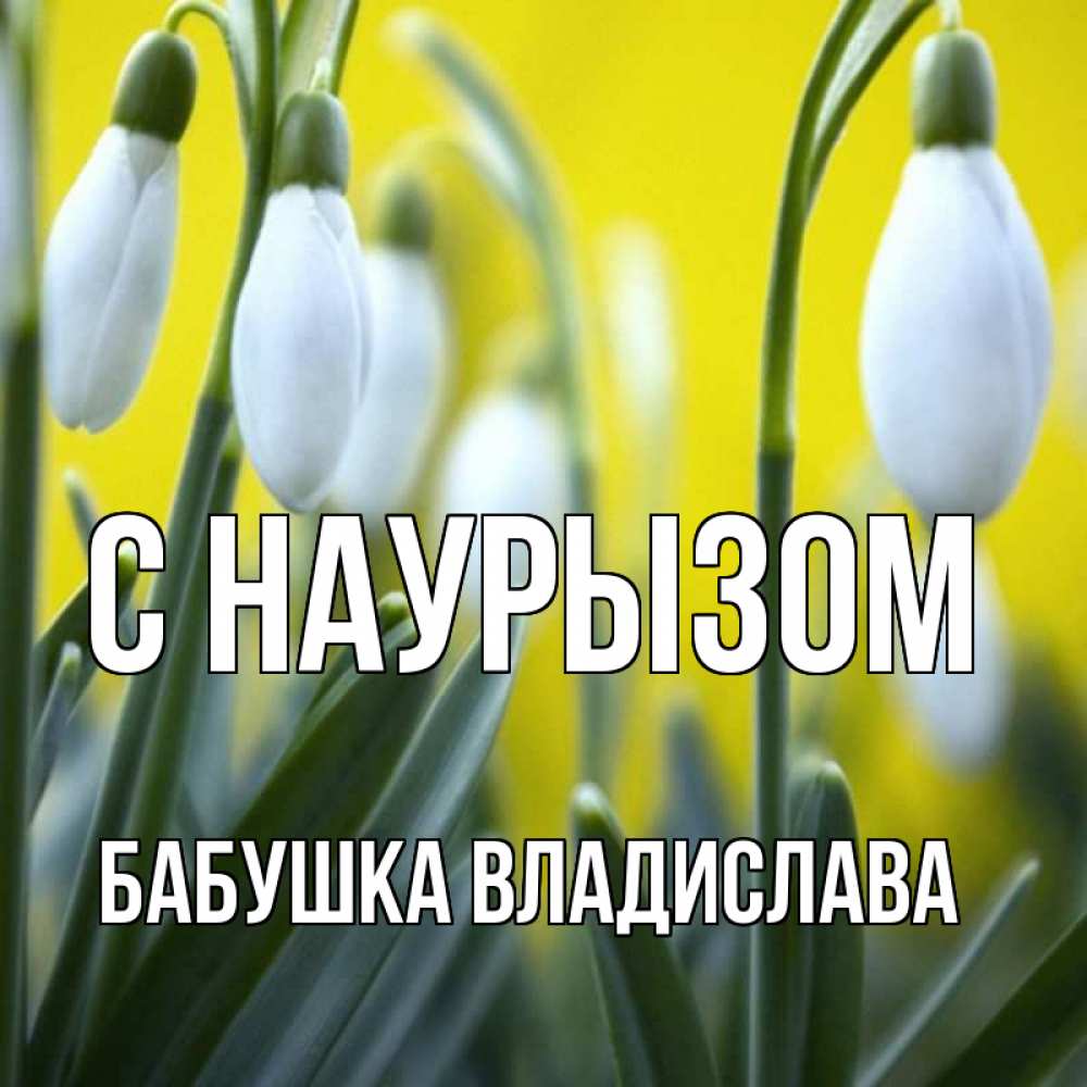 Открытка на каждый день с именем, Бабушка-Владислава С наурызом весенние цветы Прикольная открытка с пожеланием онлайн скачать бесплатно 