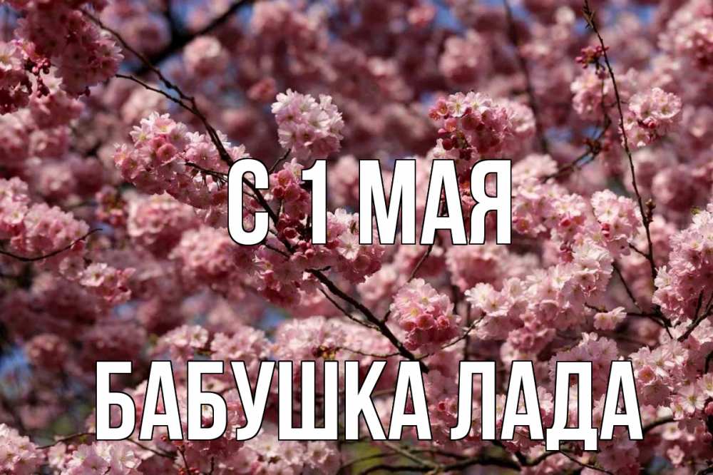 Открытка на каждый день с именем, Бабушка-Лада С 1 мая С 1 мая Прикольная открытка с пожеланием онлайн скачать бесплатно 