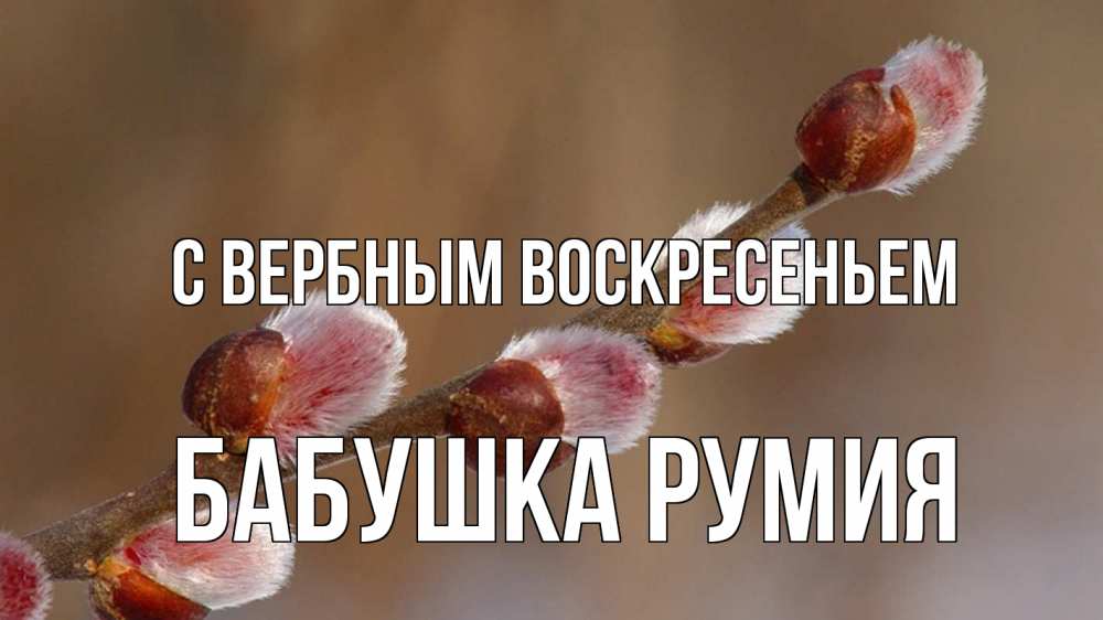 Открытка на каждый день с именем, Бабушка-Румия С вербным воскресеньем верба Прикольная открытка с пожеланием онлайн скачать бесплатно 