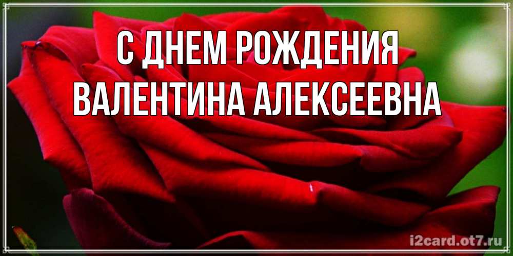 Открытка на каждый день с именем, Валентина-Алексеевна С днем рождения розочка очень красивая Прикольная открытка с пожеланием онлайн скачать бесплатно 