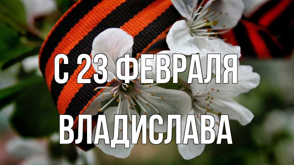 Открытка на каждый день с именем, Владислава С 23 февраля 23 февраля Прикольная открытка с пожеланием онлайн скачать бесплатно 