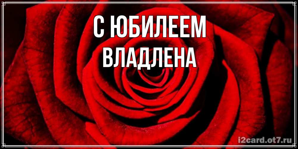 Открытка на каждый день с именем, Владлена С юбилеем алая роза Прикольная открытка с пожеланием онлайн скачать бесплатно 