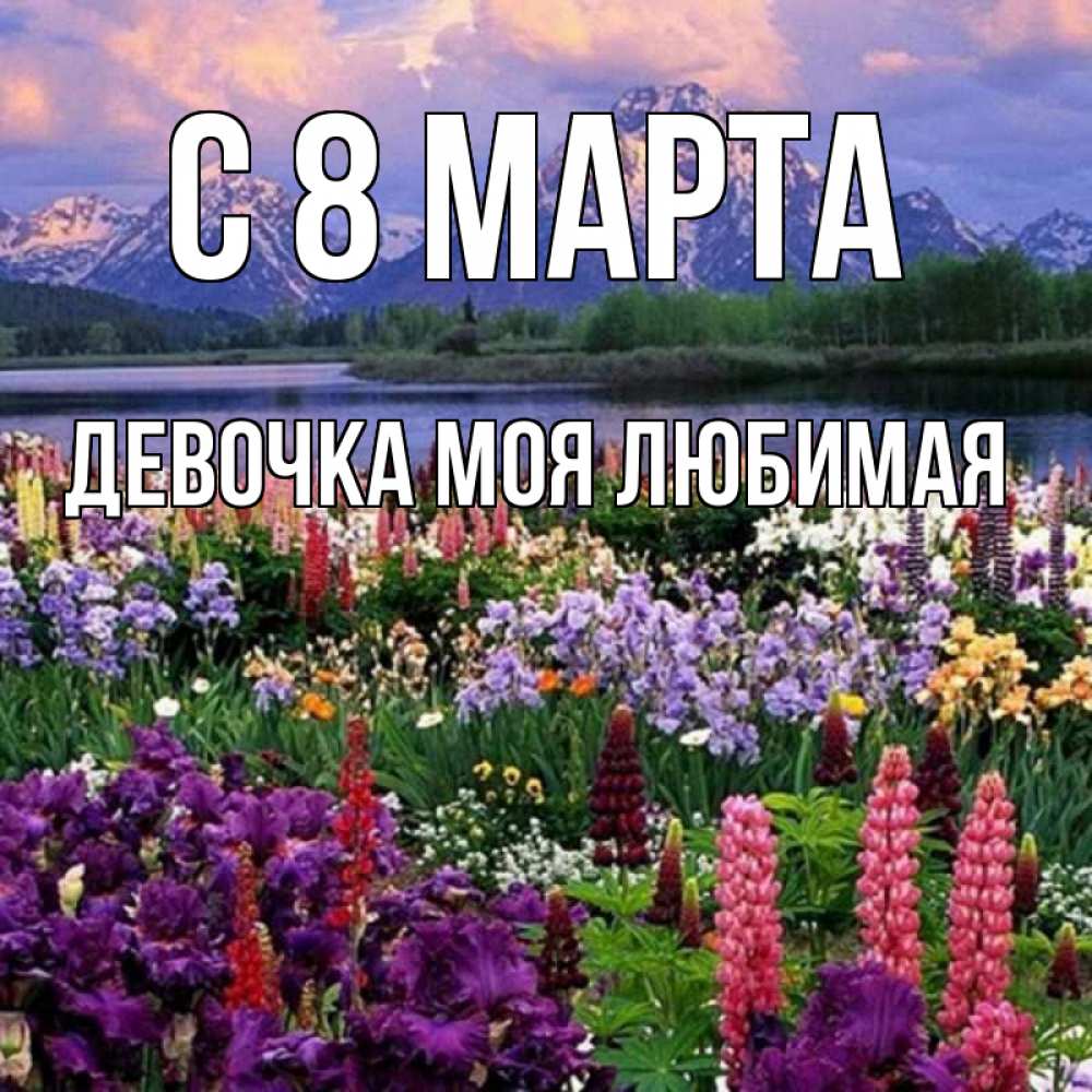 Открытка на каждый день с именем, Девочка-моя-любимая С 8 марта международный женский день Прикольная открытка с пожеланием онлайн скачать бесплатно 