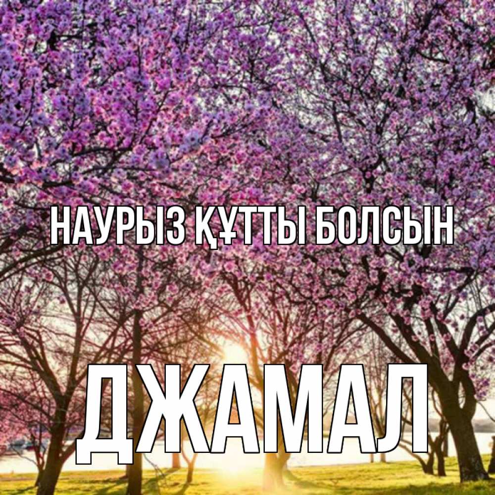 Открытка на каждый день с именем, Джамал Наурыз құтты болсын наурыз Прикольная открытка с пожеланием онлайн скачать бесплатно 
