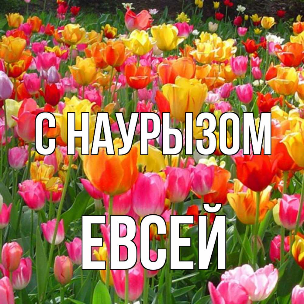 Открытка на каждый день с именем, Евсей С наурызом праздник весны наурыз 4 Прикольная открытка с пожеланием онлайн скачать бесплатно 