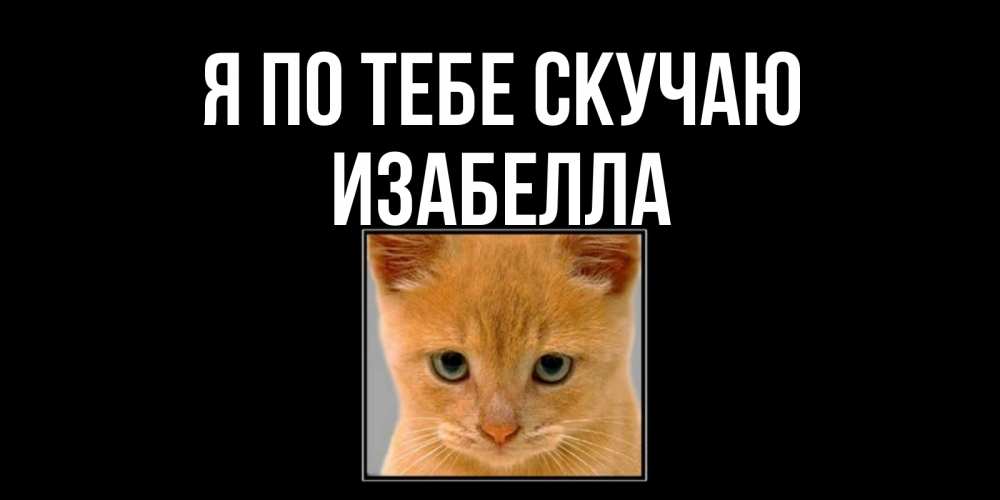 Открытка на каждый день с именем, Изабелла Я по тебе скучаю открытки рыжий котенок скучает по тебе Прикольная открытка с пожеланием онлайн скачать бесплатно 