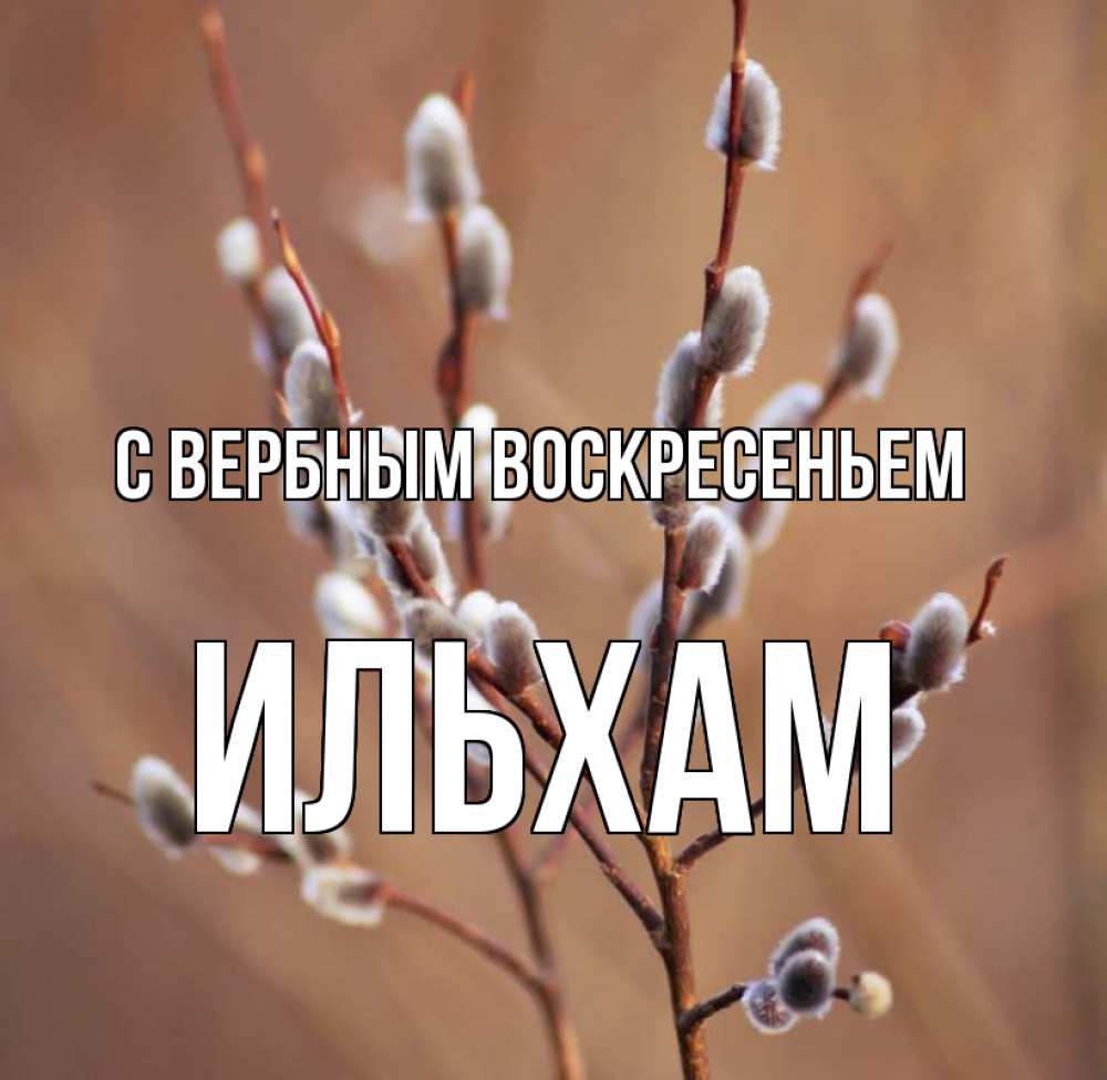 Открытка на каждый день с именем, Ильхам С вербным воскресеньем верба Прикольная открытка с пожеланием онлайн скачать бесплатно 