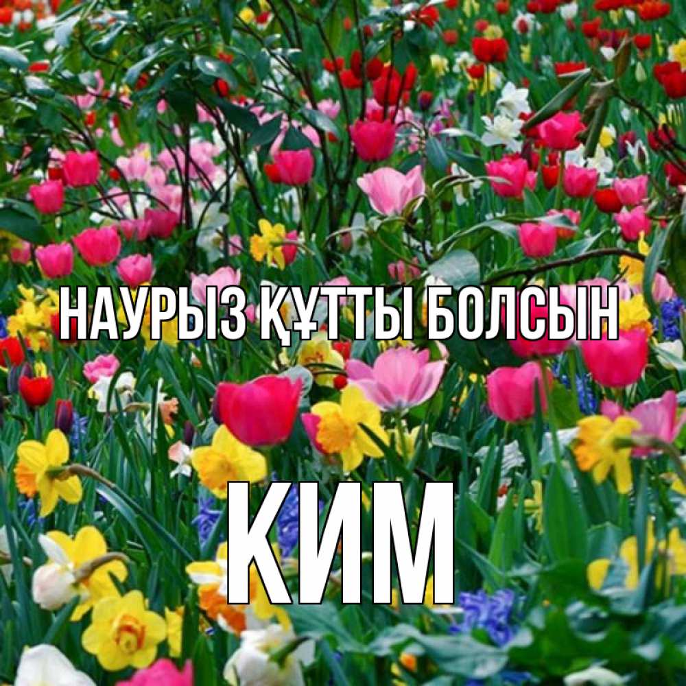 Открытка на каждый день с именем, Ким Наурыз құтты болсын с наурызом поздравления для женщины Прикольная открытка с пожеланием онлайн скачать бесплатно 