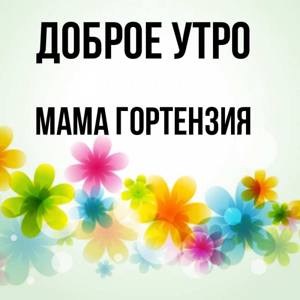 Открытка на каждый день с именем, Мама-Гортензия Доброе утро позитивные цветочки Прикольная открытка с пожеланием онлайн скачать бесплатно 