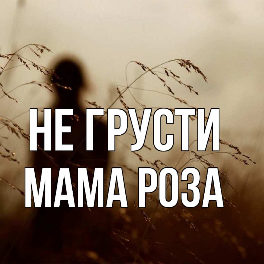 Открытка на каждый день с именем, Мама-Роза Не грусти грусть Прикольная открытка с пожеланием онлайн скачать бесплатно 