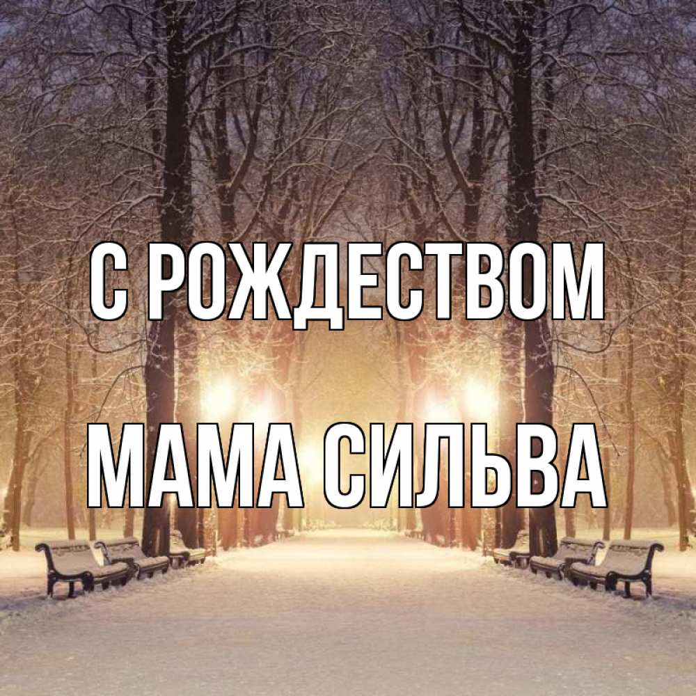 Открытка на каждый день с именем, Мама-Сильва С рождеством зима, парк, фонарь, лес Прикольная открытка с пожеланием онлайн скачать бесплатно 